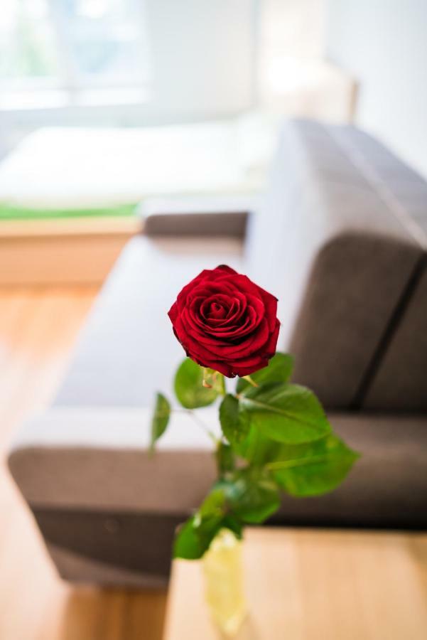 Hostel Pod Roza Затор Экстерьер фото
